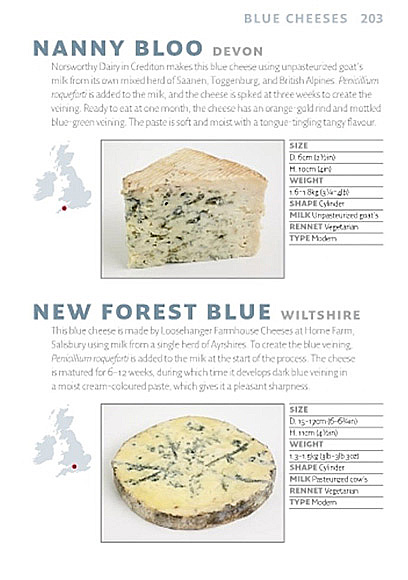 https://jennylinford.co.uk/wp-content/uploads/2015/11/Great_British_Cheeses-new-08.jpg