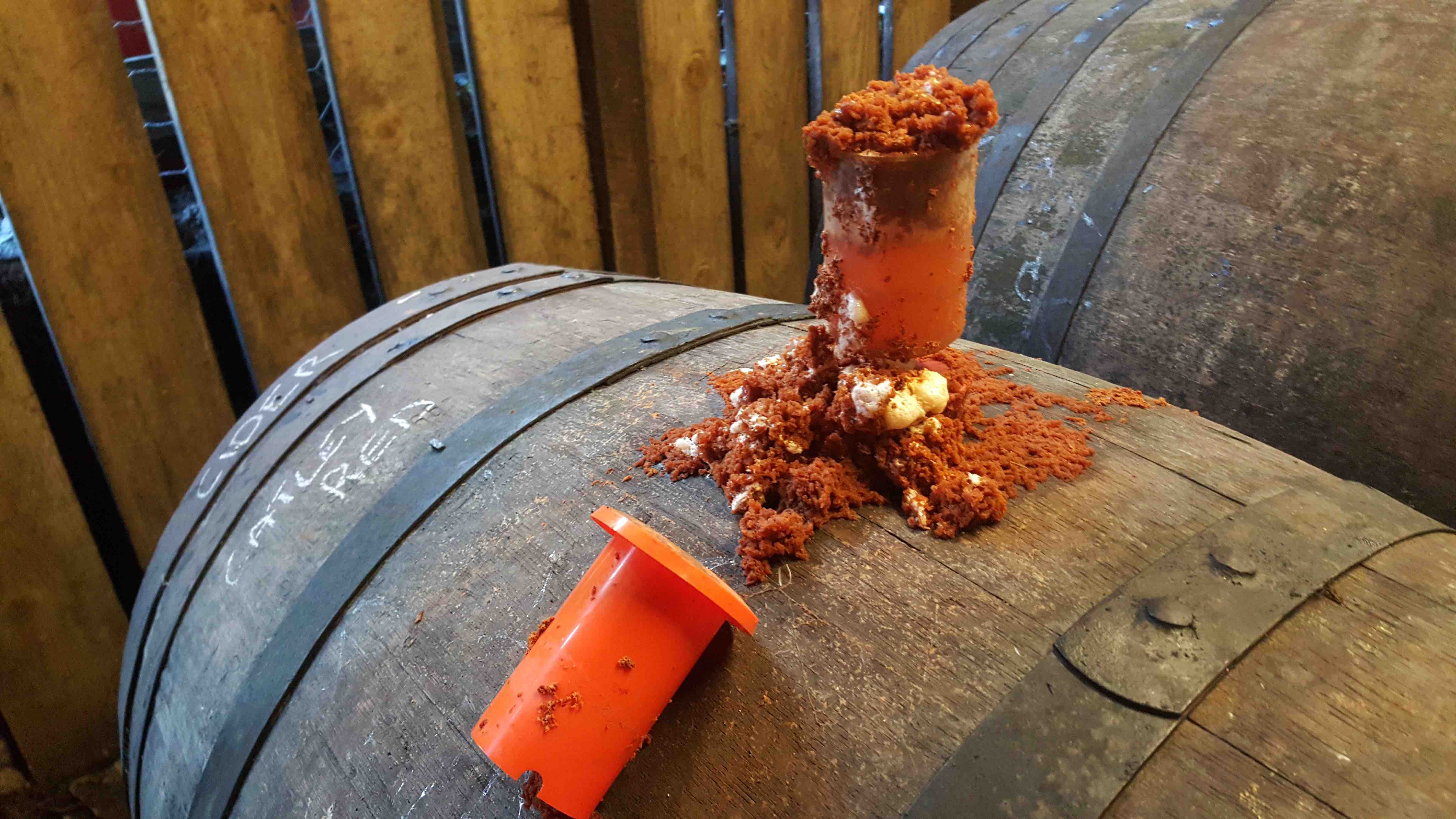 cider barrel ferment