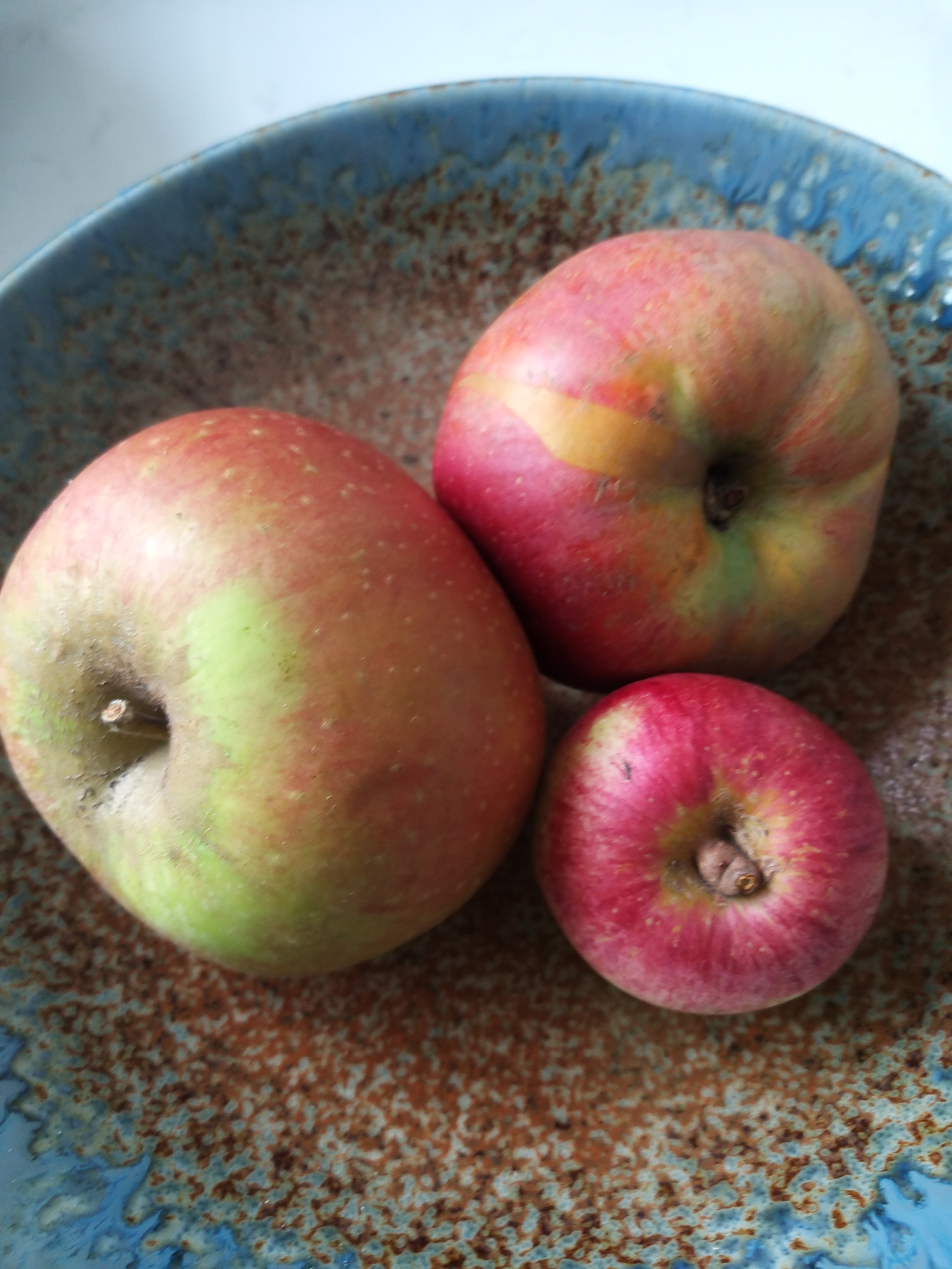 Brogdale apples