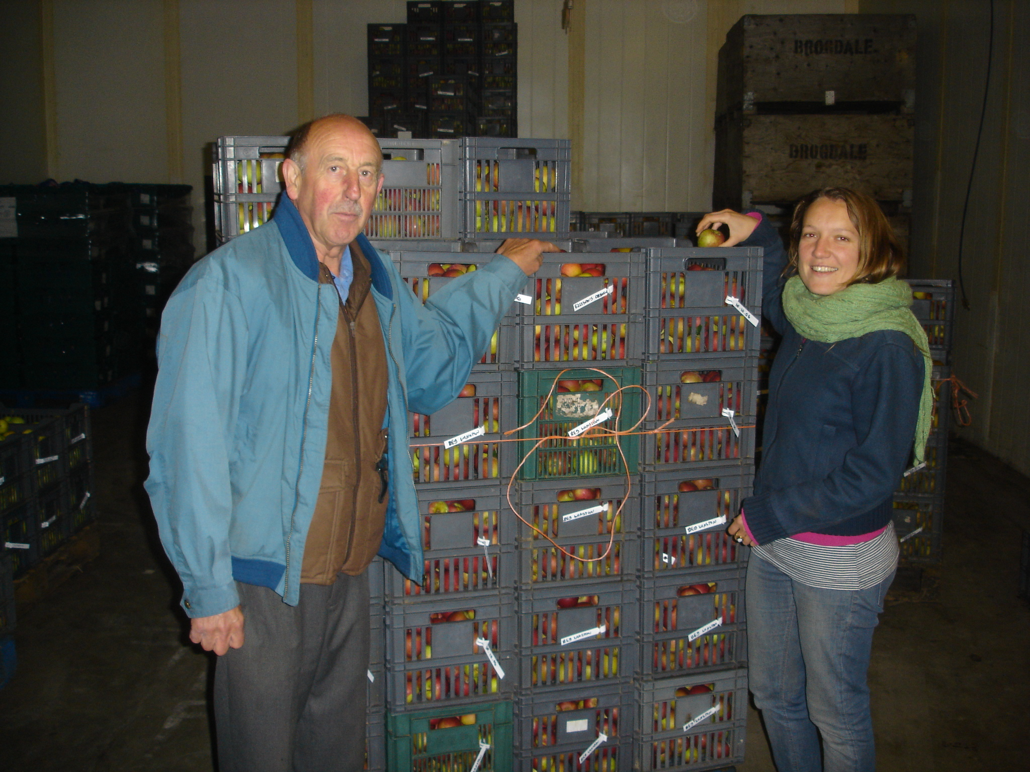 Brogdale Collections apple harvest