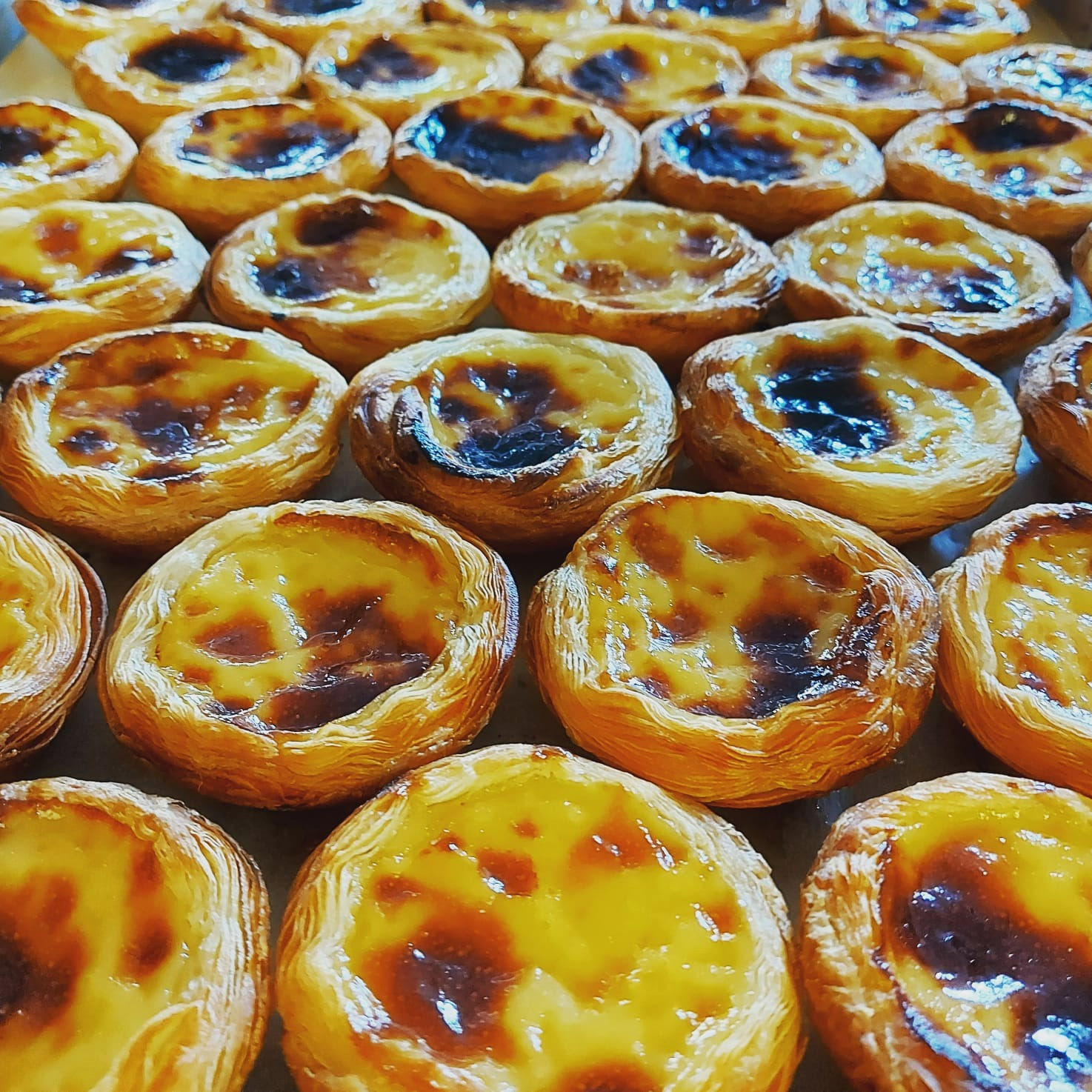 Holtwhites Baker - Egg custard tarts